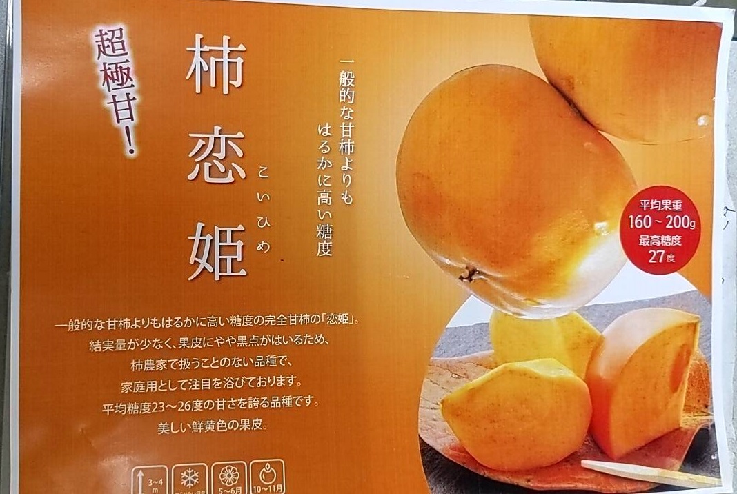 超極甘の新品種の柿の苗入荷しました。の画像