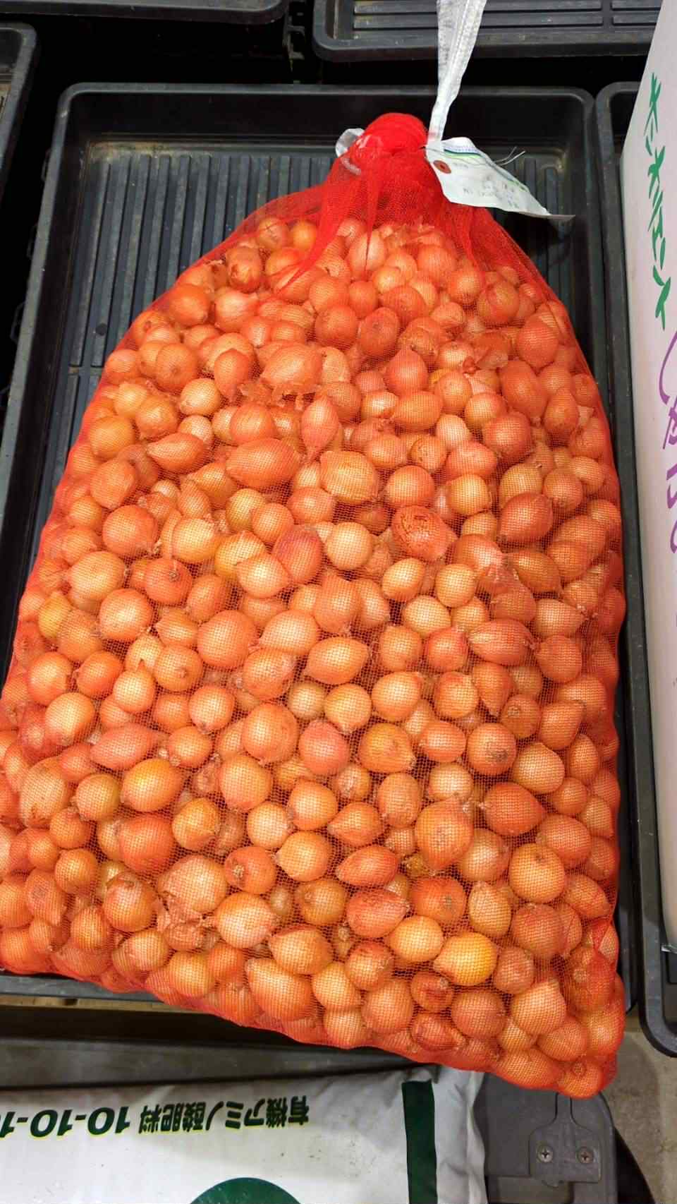 冬どり玉ねぎ 種球入荷しました！の画像