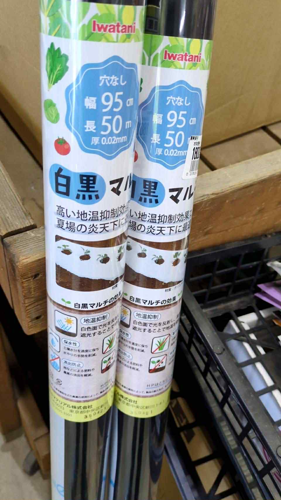 夏の植え付けに！白黒マルチがおすすめですの画像