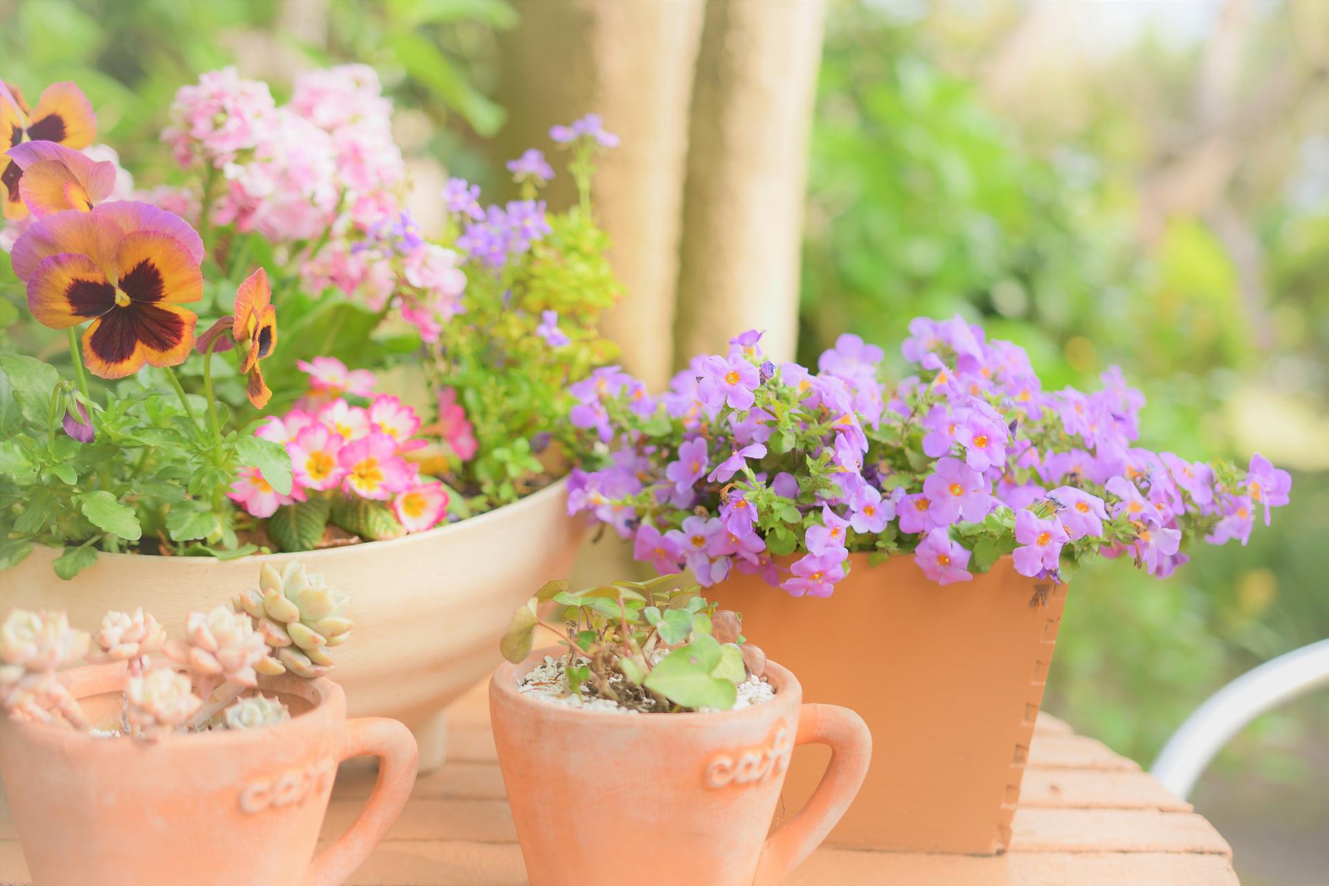 植木鉢のイメージ画像