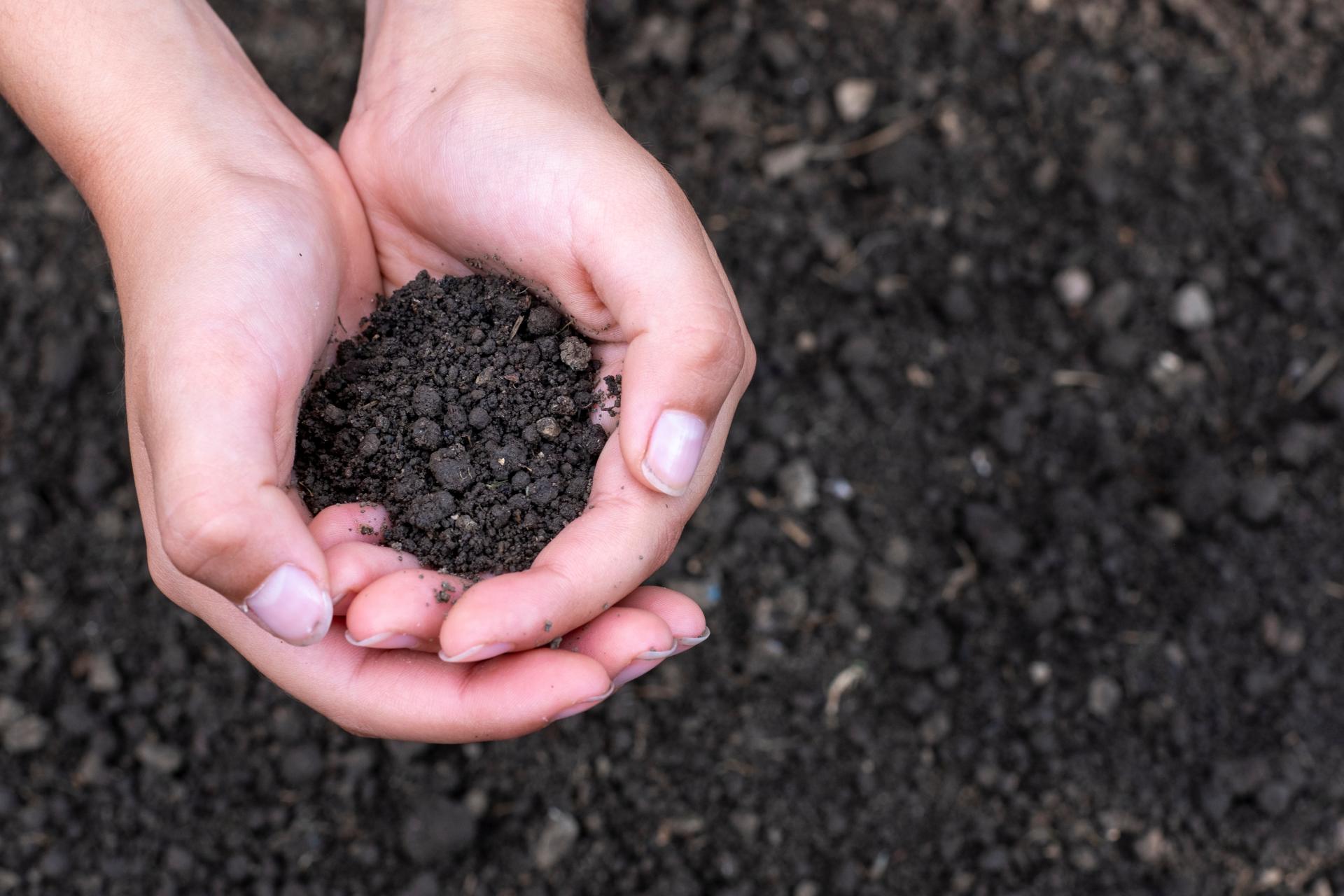 園芸用土のイメージ画像